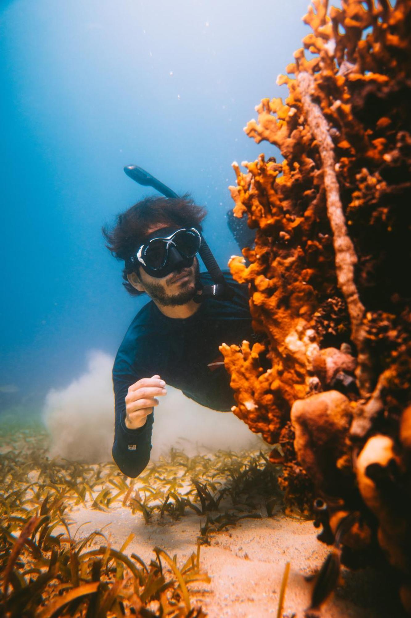 Isla Corona Isla del Rosario エクステリア 写真
