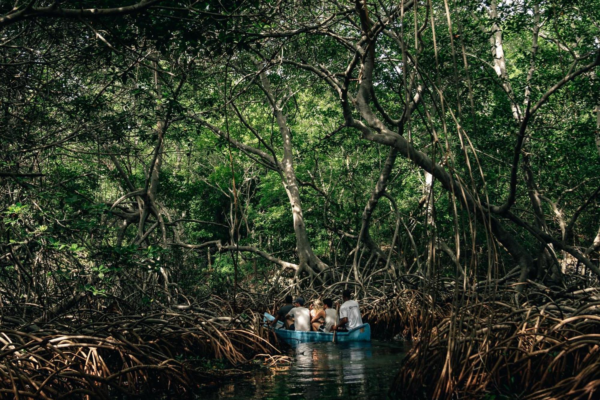 Isla Corona Isla del Rosario エクステリア 写真